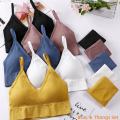 Shelfen Girls & Women Seamless Bra & Panty Set – Comfortable Daily Wear Ladies Innerwear Pakistan-. 