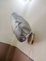 Bracket Fan Cover Wall Fan Cover Waterproof Parachute. 