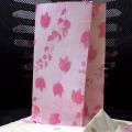 30 Lunch Bags color Kraft Paper Sacks School Beer food bag bakery bag Shipping Size 9x5.75 inch. 