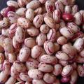 Desi Lobia | Organic Beans | Mansehra ka  Lobia | Beans | 3kg. 