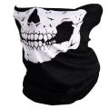 skull mask. 