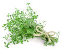 Thyme Herb Seeds Thymus Vulgaris Home Kitchen Gardening Seeds. 