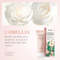 BIOAQUA Camellia Facial Cleanser Skin Care Face Wash  For Women and girls 80g BQY12470. 