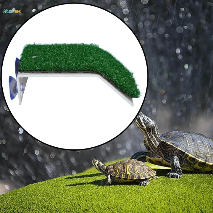Turtle%20Resting%20Basking%20Platform%20Aquatic%20Reptile%20Ramp%20for%20Amphibians%20Semi%20Aquatic%20Animals%20Terrapin%20-%20Image%202