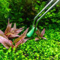 AQUARIUM ROOT TABS/MULTINUTRIENTS TABS FOR AQUARIUM PLANTS. 