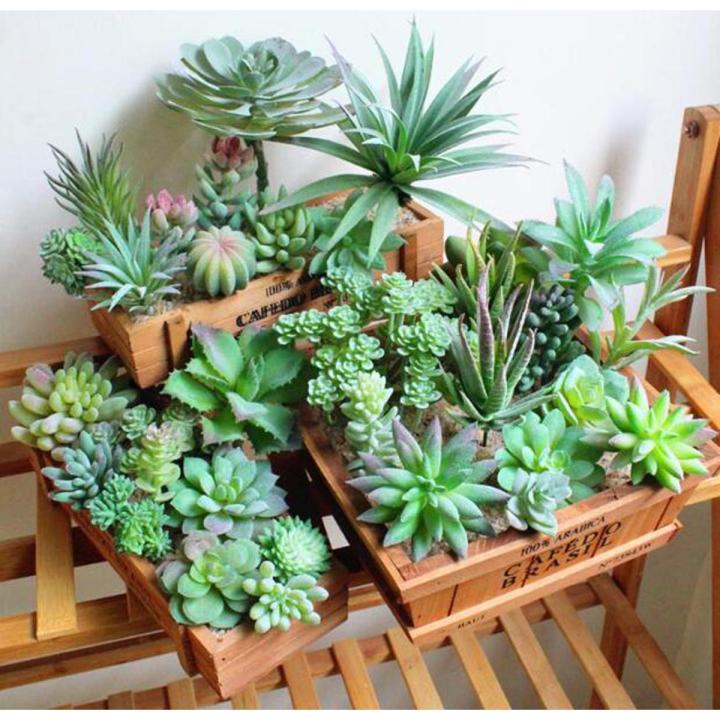 10-Piece Mini Potted Plants - Artificial Succulents For Dollhouse & Home Decor