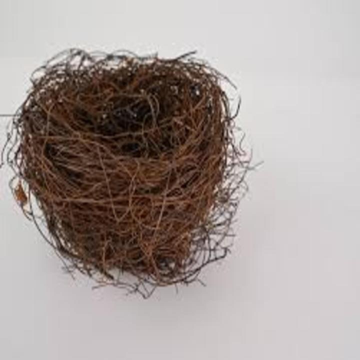 Nesting%20Material%20for%20Birds%20II%20PACK%20of%203%20+%201pc%20Extra%20on%20Every%20Order%20.%7C%7C%20Grass%20Nest%20For%20Finches%20And%20Small%20Birds%20%7C%20nesting%20material%20%7C%20Coconut%20Fiber,%20Nesting%20Material%20Birds%20Coconut%20Grass%20For%20Small%20Nesting%20Birds%20-%2025%20to%2030%20grams%20-%20Image%208