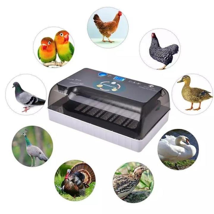 HHD 12 Eggs Fully  Automatic Digital Incubator Hatcher Turning Machine Chicken Duck Bird - 220V