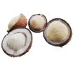 Natural Phool Wala Nariyal |Brown Coconut  With Flower | Rare Sprouted Coconut with Flower Inside | Original Coconut for Health & Pregnancy | Pure Natural Sprouted Nariyal for Energy | Its Natural Item So we don't know About the size of Inner Flower. 