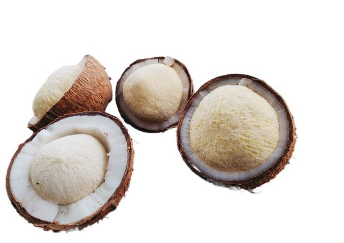Natural%20Phool%20Wala%20Nariyal%20%7CBrown%20Coconut%20%20With%20Flower%20%7C%20Rare%20Sprouted%20Coconut%20with%20Flower%20Inside%20%7C%20Original%20Coconut%20for%20Health%20&%20Pregnancy%20%7C%20Pure%20Natural%20Sprouted%20Nariyal%20for%20Energy%20%7C%20Its%20Natural%20Item%20So%20we%20don't%20know%20About%20the%20size%20of%20Inner%20Flower%20-%20Image%204