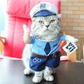 Halloween Dog Cosplay Chucky Costume Pet Dress Up Cats Dogs Clothes for Small Dogs Boy Wig Hat Halloween Cosplay Christmas Party. 