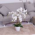Artificial White Orchid Flower with Black Planter.. 