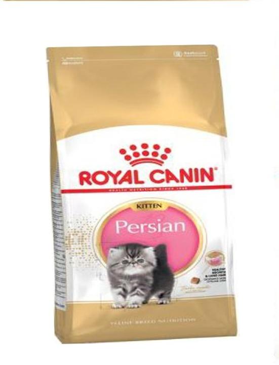Persian%20Kitten-%202%20KG%20-%20Image%204