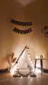 Ramadan Kraeem Garland Flag Banner For Wall Decoration Ramadan Kareem Decor Bunting Banner For Dining Area, Drawing Room & Lounge Celebrate Islamic Festive Event With Hanging Banners Decorate Your Home Office & Shop Blessed Ramadan Kraeem Party Supplies. 