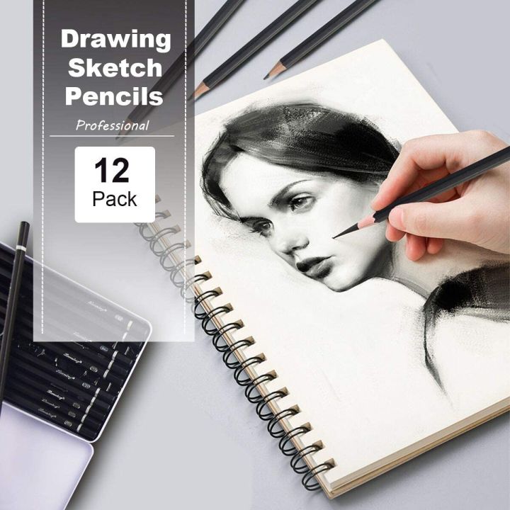 12 Professional Sketch and Drawing Pencils - Art Pencils - Drawing Pencil Kit pack of 12 - 8B to 2H - Graphite Pencils for beginners and Pro Artists