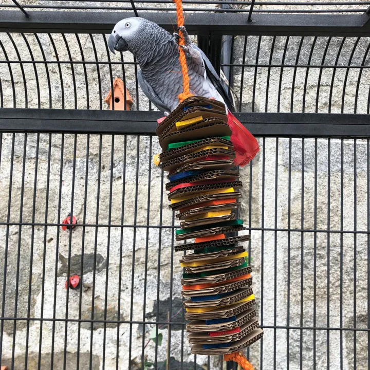 BIRD%20AMAZON%20Parrot%20Toys%20for%20Medium%20Birds,%20Cardboard%20Bird%20Toys%20African%20Grey%20Parrot%20Toys,%20Natural%20Wooden%20Bird%20Cage%20Chewing%20Toy%20with%20Clip%20for%20Small%20Medium%20Parrots%20and%20Birds%20Cockatiel%20Conure%20-%20Image%207