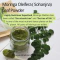 Moringa Oleifera (Suhanjna) Leaf Powder (100g). 