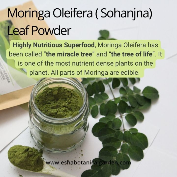 Moringa%20Oleifera%20(Suhanjna)%20Leaf%20Powder%20(100g)%20-%20Image%202