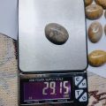 Original Natural italian Coral Fossil Marjan (مرجان فوسل) Gemstone 29.15 crt ± 1crt For Ring Men,Bracelet,Pendant. 