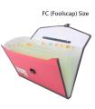TRANBO Plastic Expanding Bag File Folder with 13 Section Pockets, FC Size, Pink. 