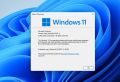Microsoft Windows 11 Pro Official. 