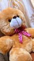 16 Inches Soft and Fluffy Net Ribbon Teddy Bear For Girls/ Kids Stuffed Teddy Bears Plush Toys For Kids - 3 Colors Available. 