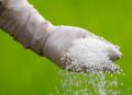 Urea Fertilizer (1 Kg Pack) High Quality Water Soluble For All Plants & Gardening Fertilizer - Agriculture.. 