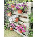 8 inches wall mount heavy duty outdoor indoor garden wall decor flower plant pot hanging hook bracket ring. 