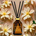 Scented Reed Diffuser Set for Home and Bathroom Long Lasting Fragrance by Scented Pakistan. 