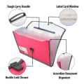 Plastic Document Expanding Bag File Folder – A4 Size, Multi-Pocket Accordion Organizer with Handle for Office, School & Travel. 