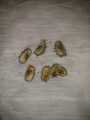 45 Castor oil seeds 100percent germinate for grow caster plant Eranda ( Ricinus communis ) castor beans arand tree use for many purpose. 