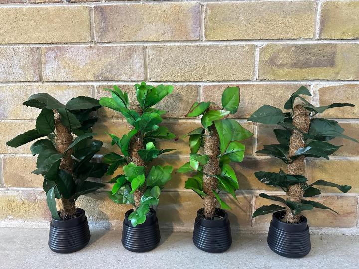 Breezy%20Tall%20Fiddle%20Leaf%20Fig%20Tree%20in%20Pot%20-%20Decorative%20Indoor%20Plant%20-%20Image%209