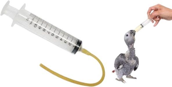 Birds Hand Feeding Syringe 30Cc For Babby Birds with imported silicon pipe