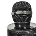 Amplifier Microphone Speaker, Built-in Speaker, Echo Sound for Teaching and Recording. 