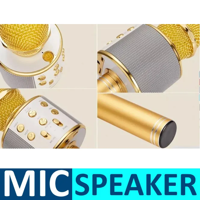 WS858%20Mic%20for%20Kids%20Microphone%20Loud%20Speaker%20for%20Speech%20with%20Echo%20-%20Image%207