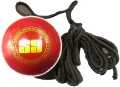 Pack of  Hanging Cricket Ball  String Cricket Balls for Cricket Training. 