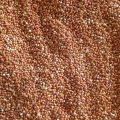 Un Hulled Red Proso Millet, Cheena, چینڑاں، For Weight watchers, Slimmers, Diabetic food, food for Heart Patients.. 