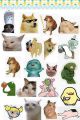 Funny Meme Stickers A5 Uncut , Mobile laptop , hilarious  Cat sponge bob , humor, witty, edgy. 