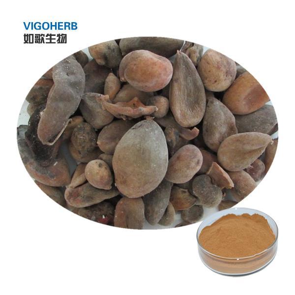 Gallnut Powder 1Kg | Daraz.pk