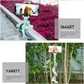 Lazy Phone Holder Stand Caterpillar Suction Cup Cellphone Bracket Mount support Wall Desktop Pillar 1Pcs. 