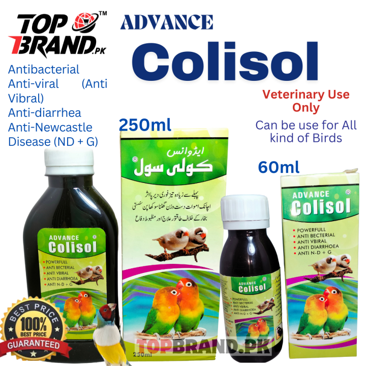 Colisol For Birds Chicken and Chicks For Parrots Finches Poultry ...