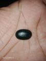 Orignal ZEHAR MOHRA stone. 