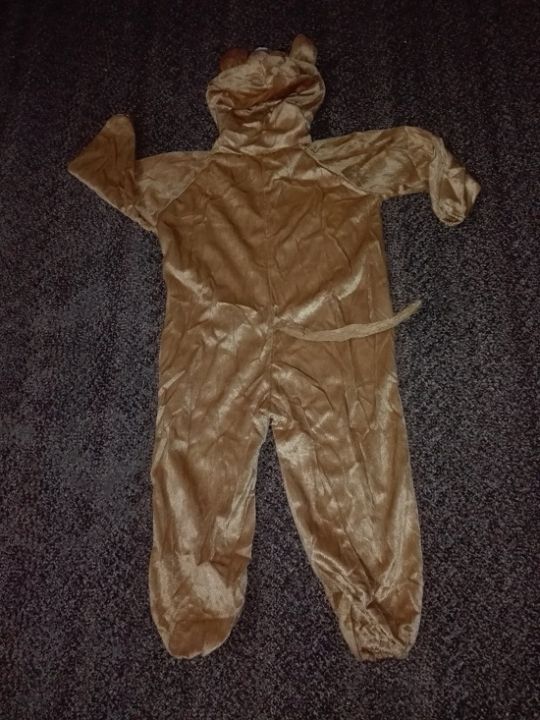 Kids%20Bear%20Costume%20-%20Image%204