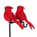 1/2PCS Handicraft Wedding Supply Home Decor Artificial Animal Simulation Parrot Real Feathers Bird Model. 