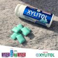Lotte Xylitol Chewing Gum, Sugar Free, Fresh Mint Flavor, Halal for Healthy Teeth & Gums 27gm (Pack of 3). 