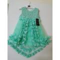 Beautiful Imported Long Back Tail Style Fancy Frocks for Girls. 