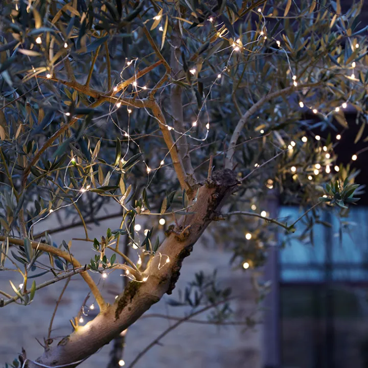 Solar%20Mesh%20Light%20-%20Image%204