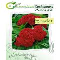 Cockscomb Amigo Scarlet. 