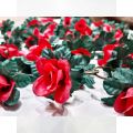 Artificial Red Flower and Green Leaf Hanging Bail 7 Feet for Home Office Wedding Decoration. 