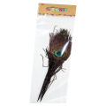 2 pcs Peacock Feather Tail Eye Natural. 